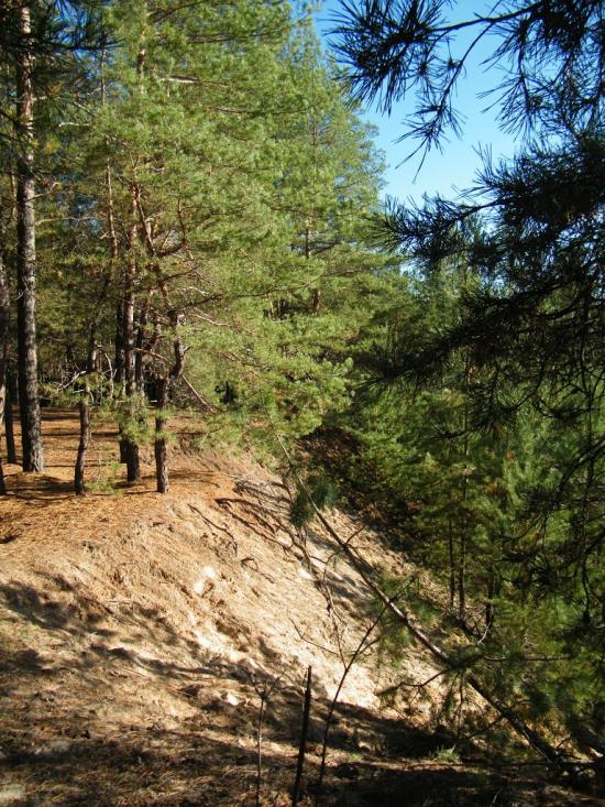Вільхуватка з panoramio.com - Вільхуватка