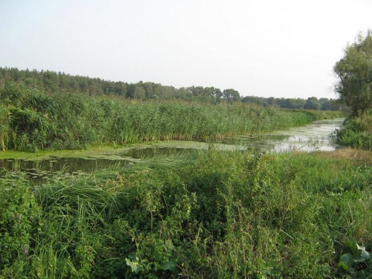 Березань з panoramio.com - Berezan