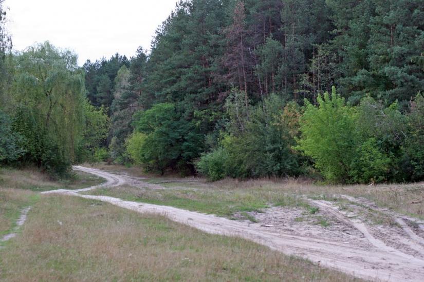 Миньківці з panoramio.com - Миньківці