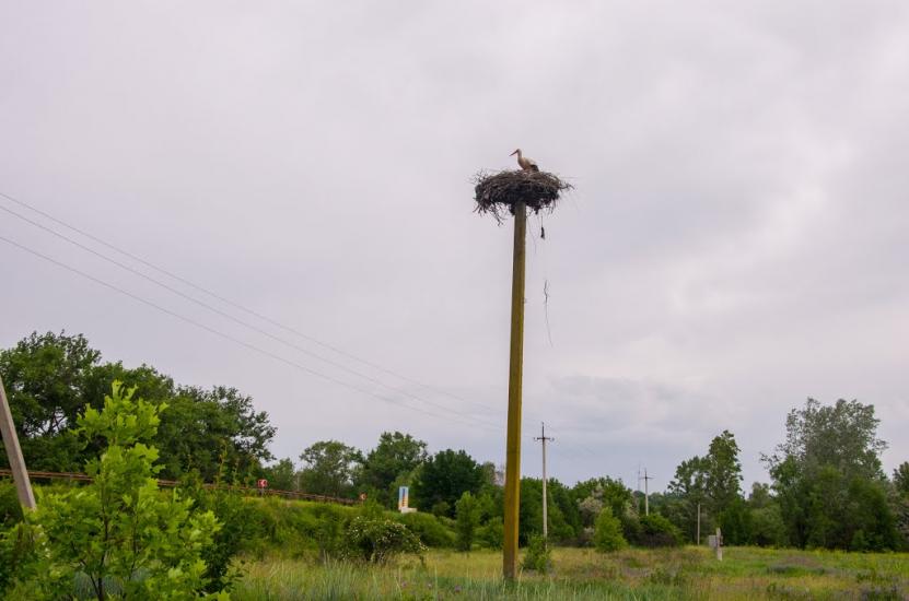 Кобеляки з panoramio.com - Kobelyaki
