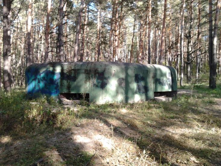 Гута-Межигірська з panoramio.com - Гута-Межигорская