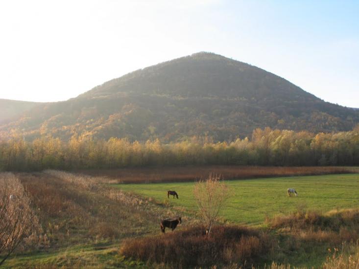 Тячів з panoramio.com - Tyachiv