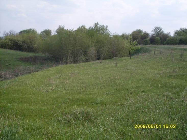 Макарівщина з panoramio.com - Макарівщина