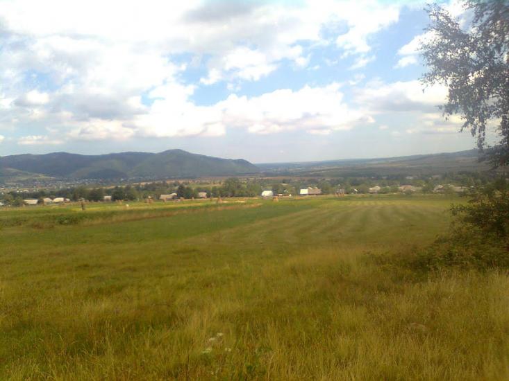 Пшеничники з panoramio.com - Пшеничники