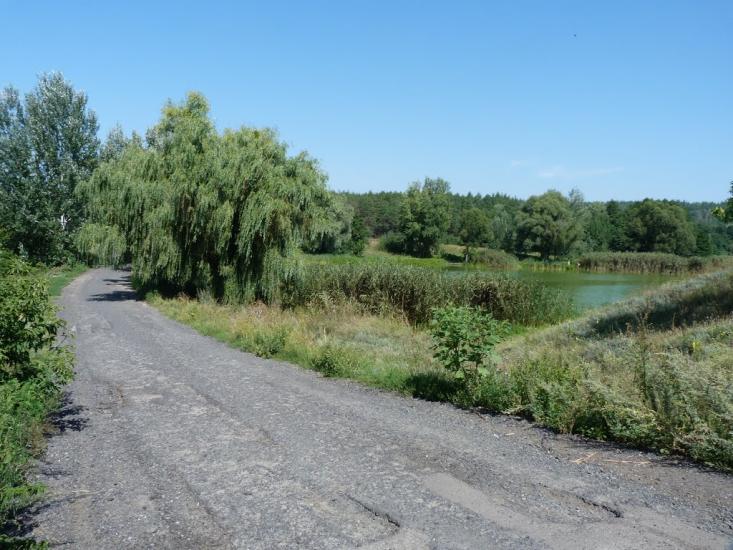 Бірки з panoramio.com - Борки