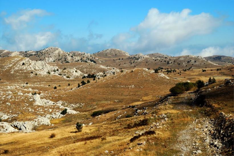 Запрудне з panoramio.com - Запрудне