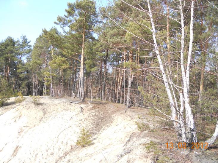 Турійськ з panoramio.com - Турийск