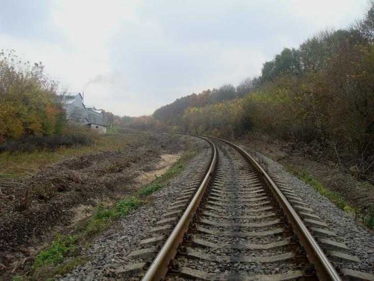 Вільхівчик з panoramio.com - Ольховчик