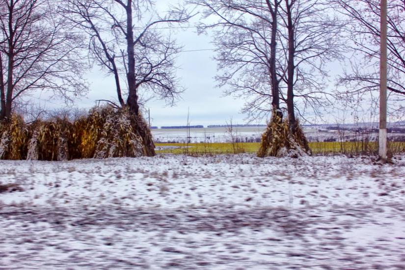 Велика Киріївка з panoramio.com - Большая Киреевка