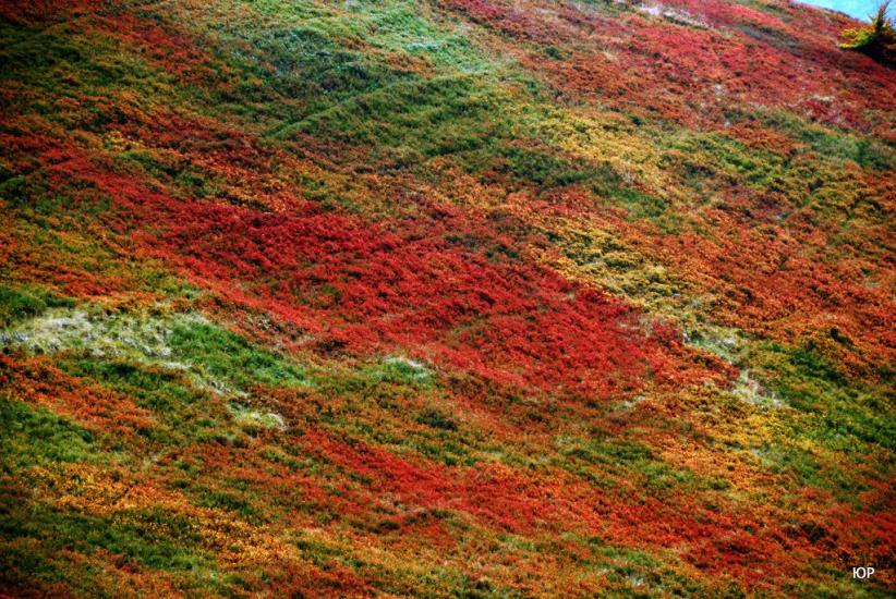 Сопки з panoramio.com - Сопки