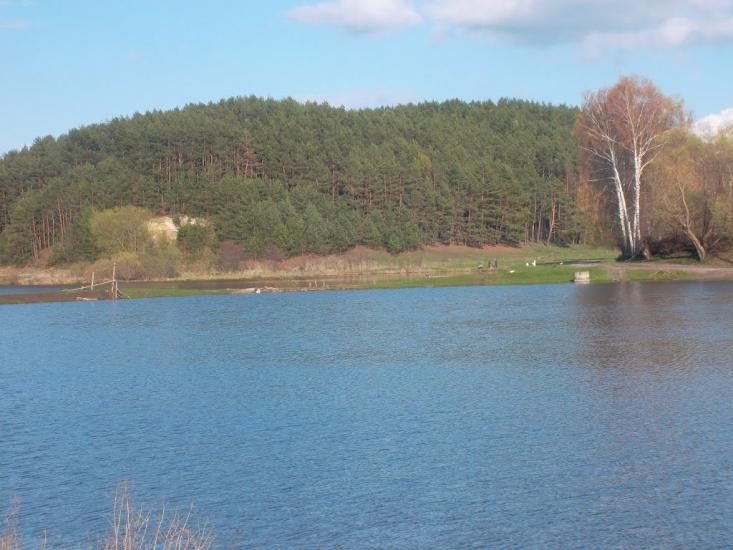 Вербовець з panoramio.com - Вербовець