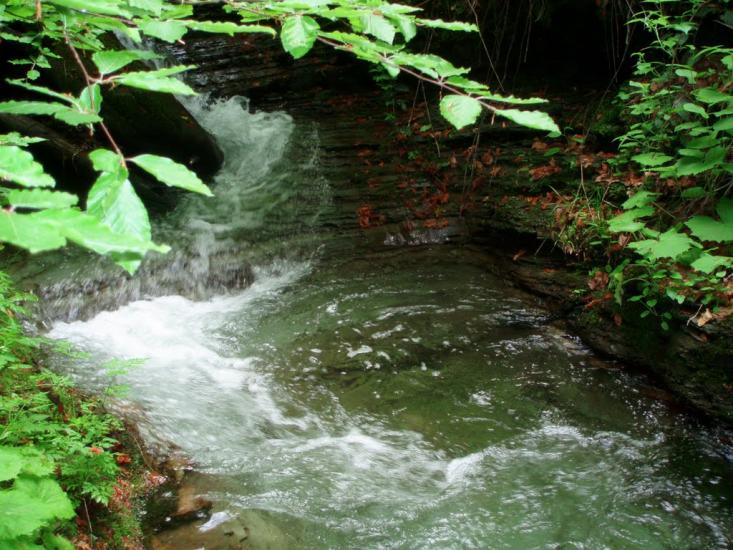 Лумшори з panoramio.com - Лумшоры