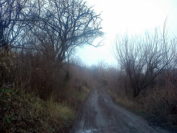 Кіровськ з panoramio.com - Кировск