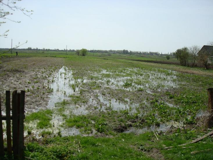 Дроздні з panoramio.com - Дроздні