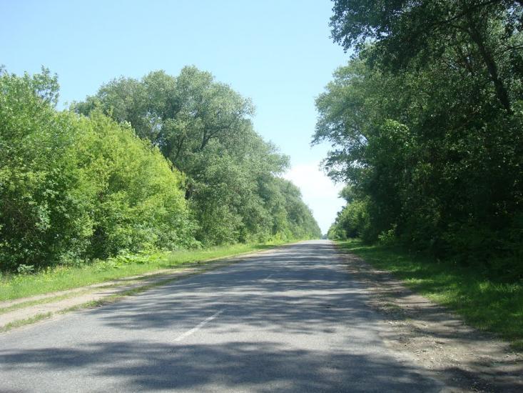 Грузевиця з panoramio.com - Gruzevytsya