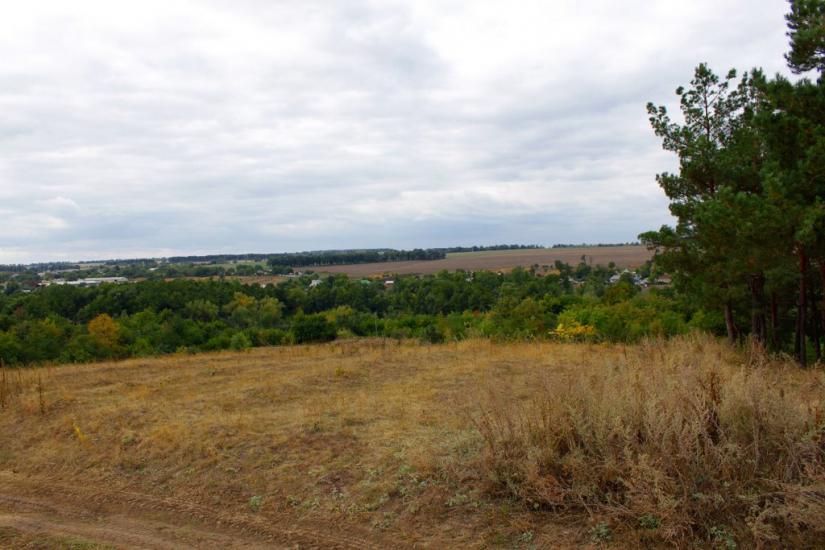 Осіївка з panoramio.com - Осиевка
