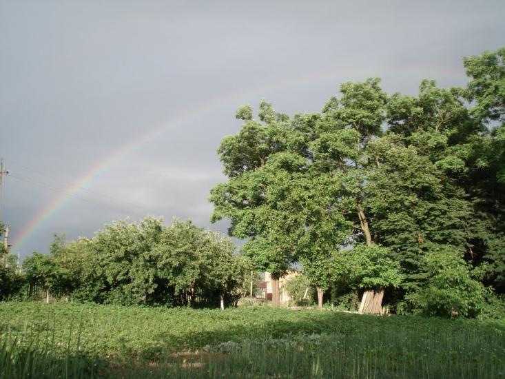 Кущинці з panoramio.com - Кущинцы