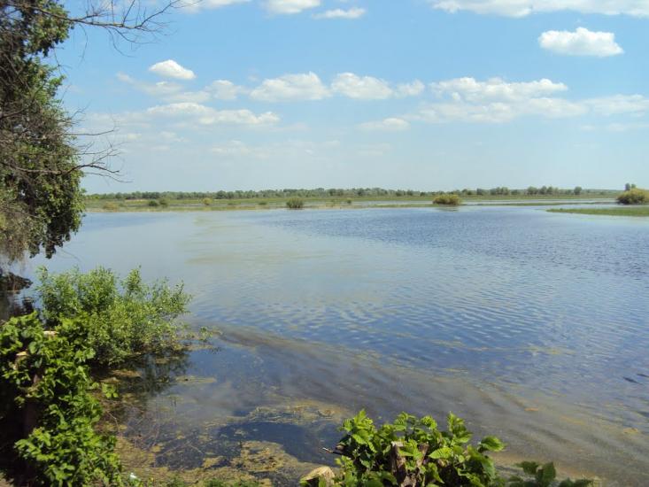 Карпилівка з panoramio.com - Карпилівка