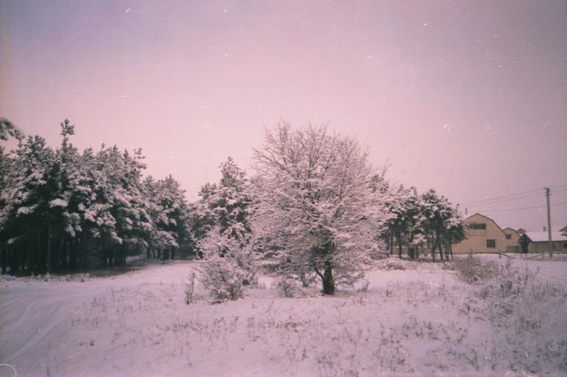 Любомль з panoramio.com - Любомль