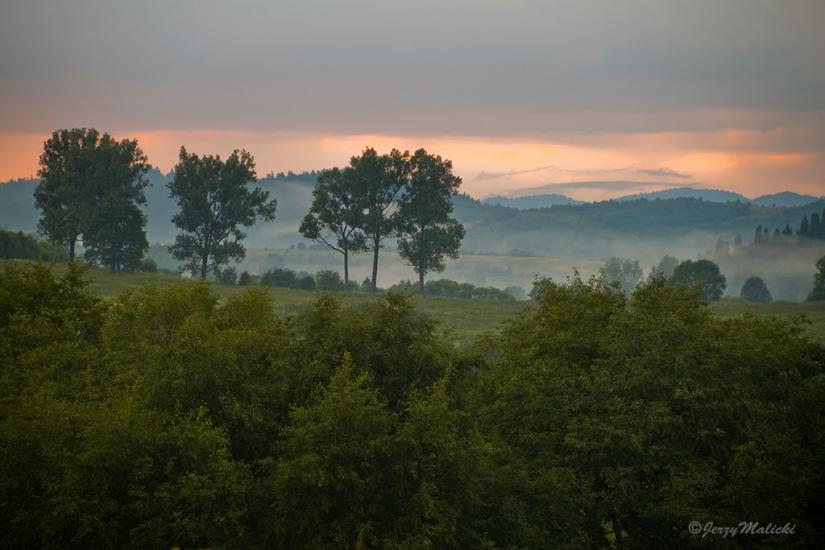 Шандровець з panoramio.com - Шандровец
