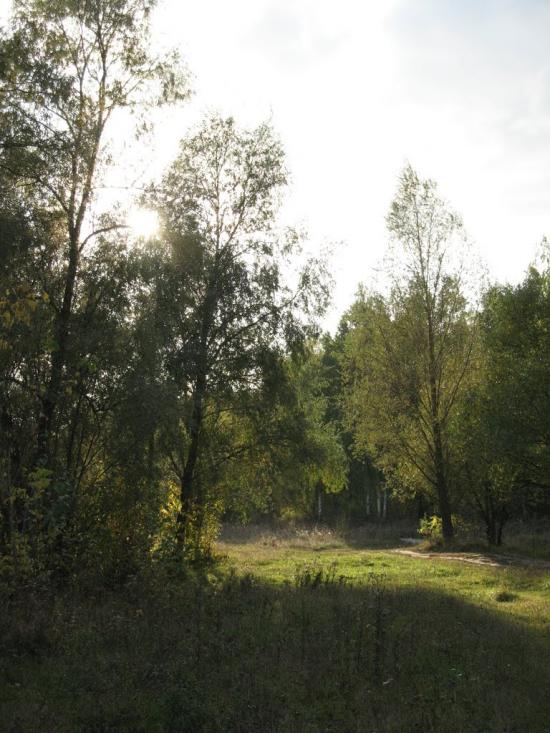 Осіч з panoramio.com - Osich