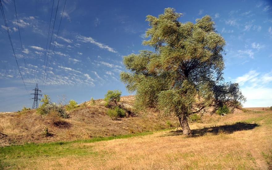 Іжевка з panoramio.com - Іжевка