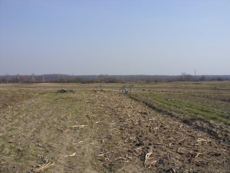 Турійськ з panoramio.com - Турийск