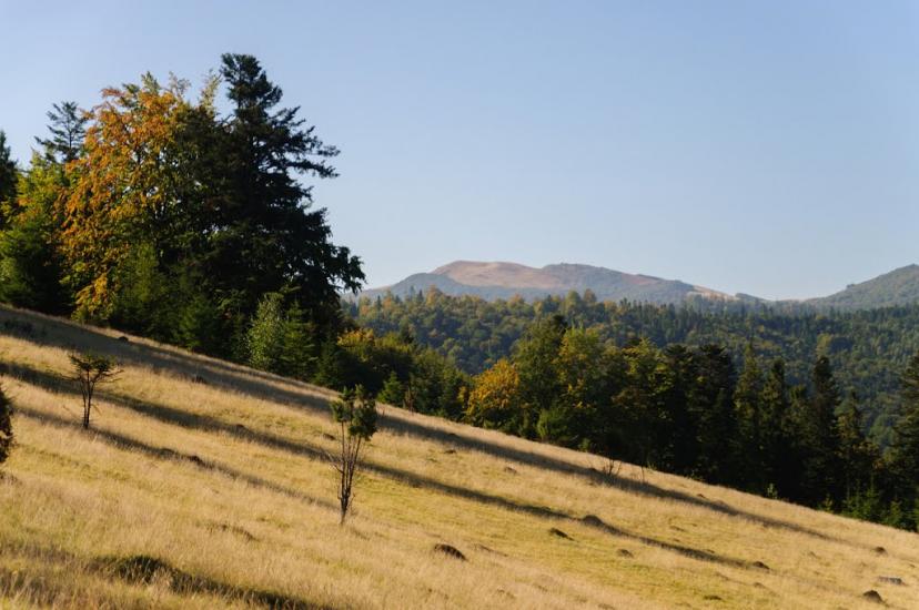 Ужок з panoramio.com - Ужок