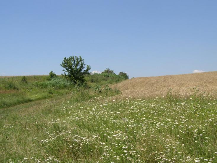 Пінчуки з panoramio.com - Пінчуки