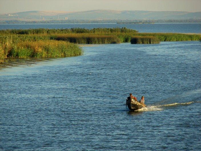 Нова Некрасівка з panoramio.com - Новая Некрасовка