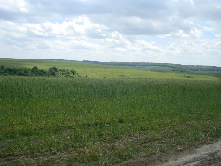 Стуфчинці з panoramio.com - Stufchyntsi