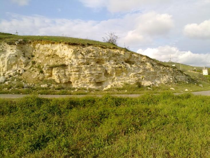 Плодове з panoramio.com - Плодове