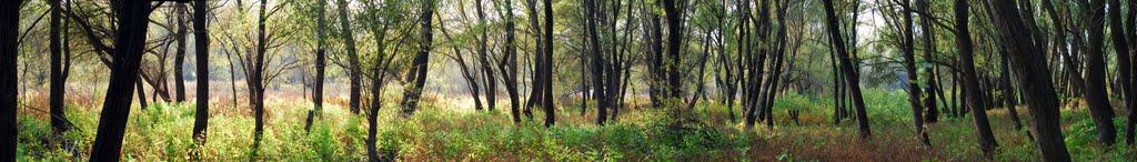 Макошине з panoramio.com - Макошино