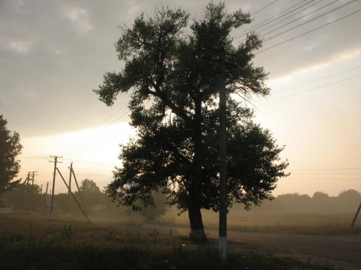 Хрещатик з panoramio.com - Крещатик