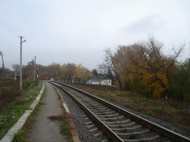 Вільхівці з panoramio.com - Ольховцы