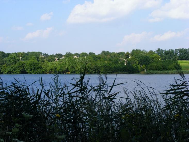 Примощаниця з panoramio.com - Примощаница