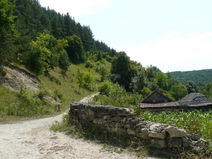 Сприсівка з panoramio.com - Сприсівка