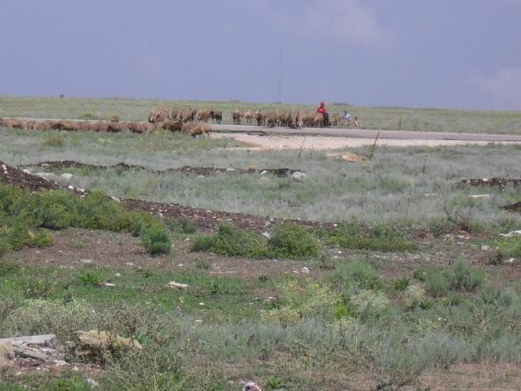 Громове з panoramio.com - Громово