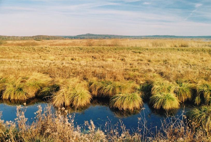 Івано-Франкове з panoramio.com - Ivano-Frankove