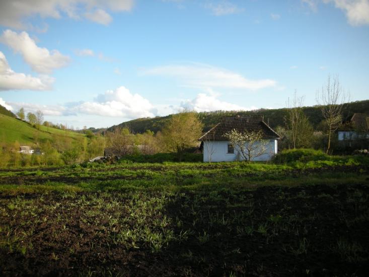 Сприсівка з panoramio.com - Сприсівка