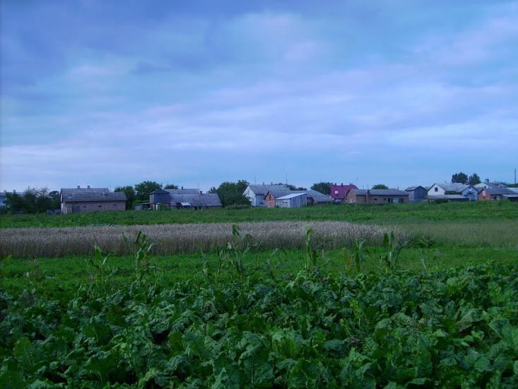Волиця з panoramio.com - Волица