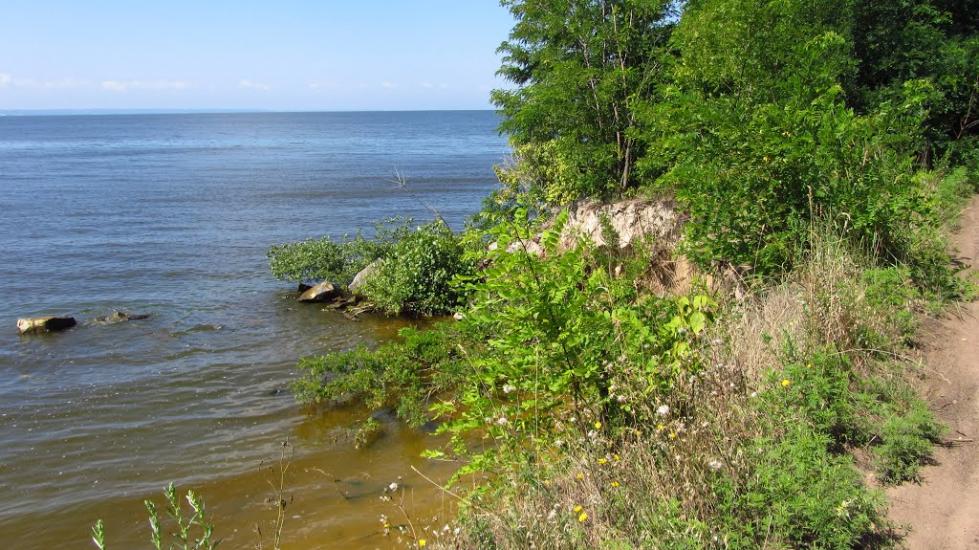 Недогарки з panoramio.com - Недогарки