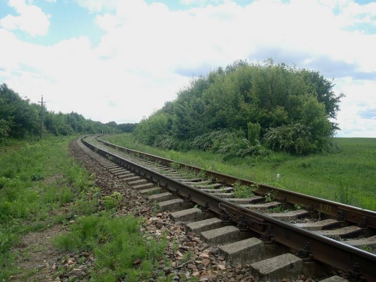 Жищинці з panoramio.com - Жищинцы