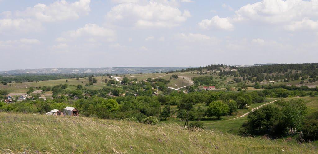 Пискунівка з panoramio.com - Pyskunivka