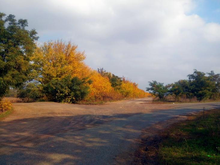 Придніпрянське з panoramio.com - Приднепрянское