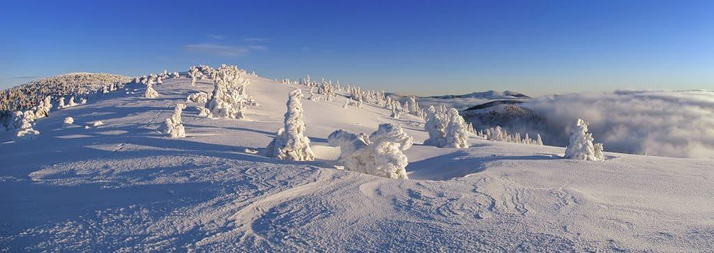 Лопухів з panoramio.com - Лопухов