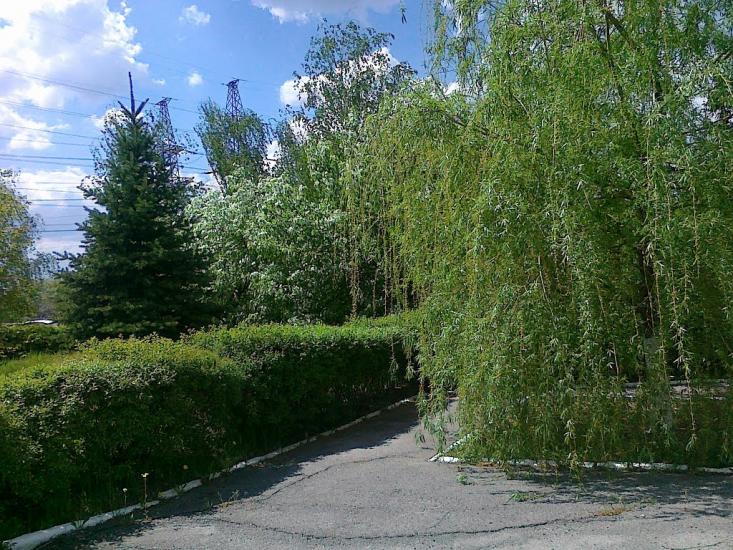 Пісочин з panoramio.com - Песочин