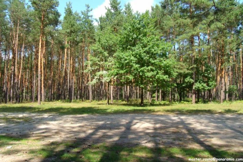 Сарни з panoramio.com - Сарни