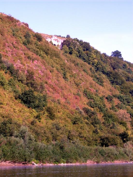 Берем'яни з panoramio.com - Берем'яни