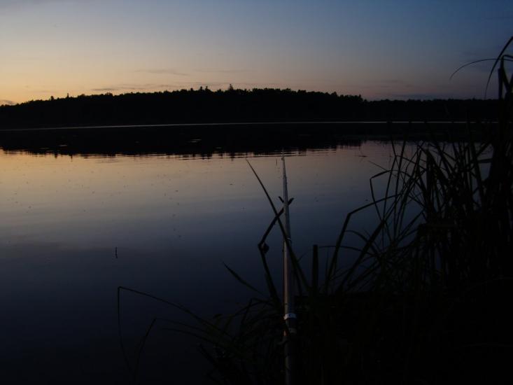 Доброгостів з panoramio.com - Доброгостів